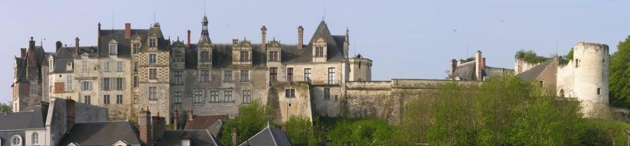 Les Gites De L'Argenterie A 15Km Du Zoo De Beauval Classes 4 Etoiles Fontguenand Exterior photo